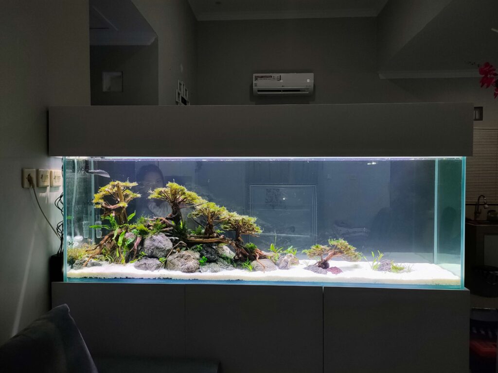 Aquascape Jogja