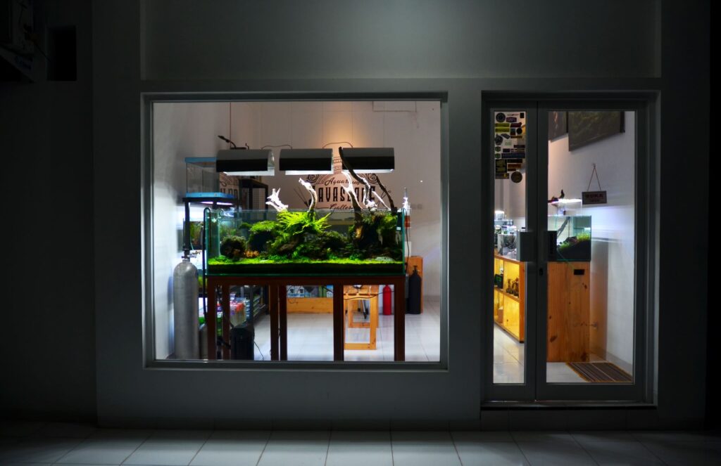 aquascape jogja 4