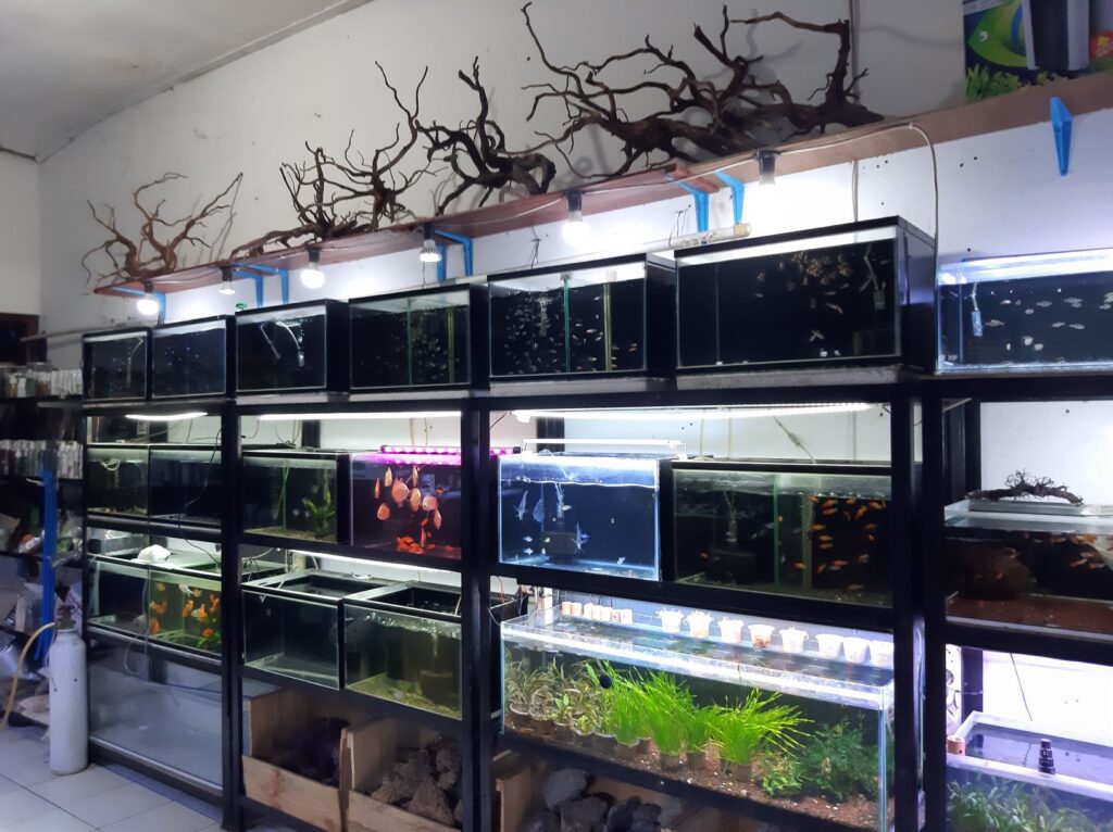 aquascape jogja