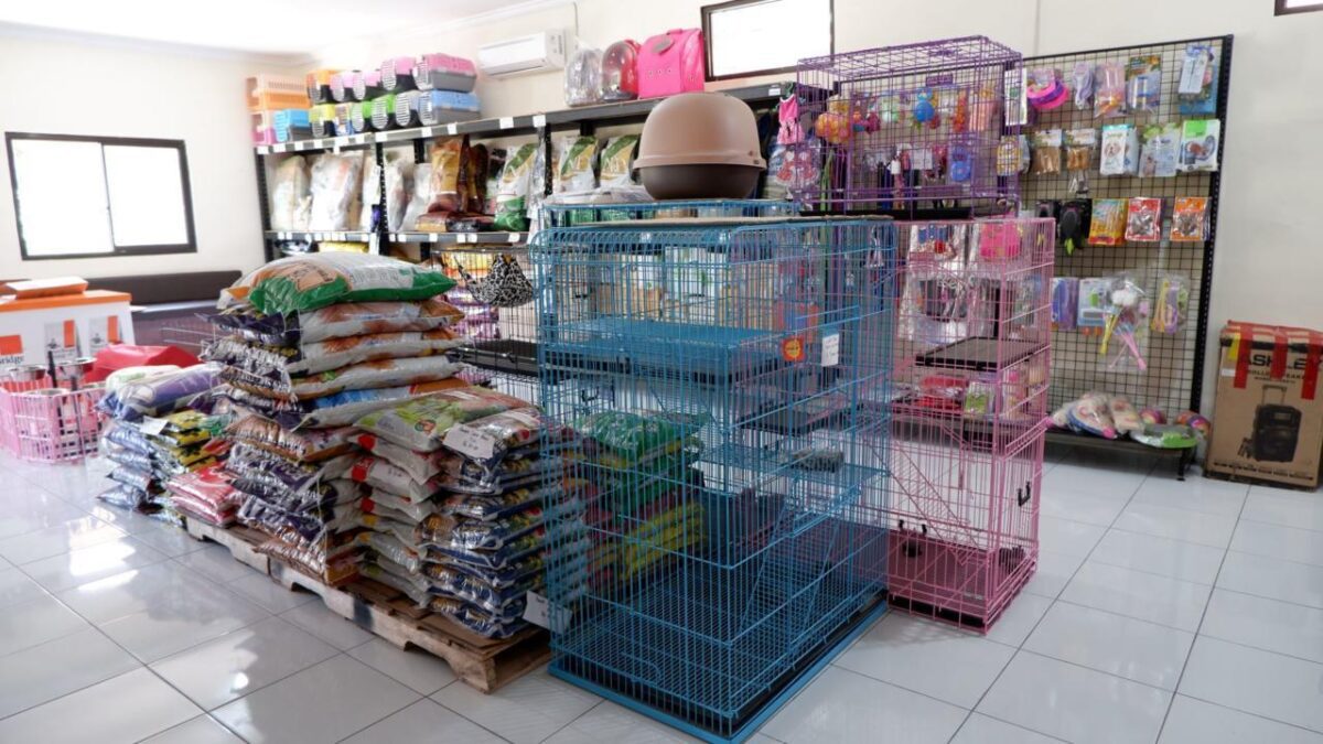 grande pet shop jogja