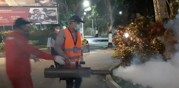jasa anti rayap Jogja