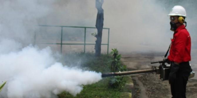 Jasa anti rayap Semarang