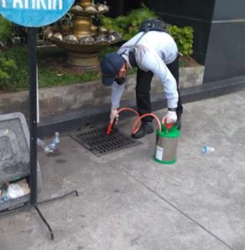 jasa anti rayap medan