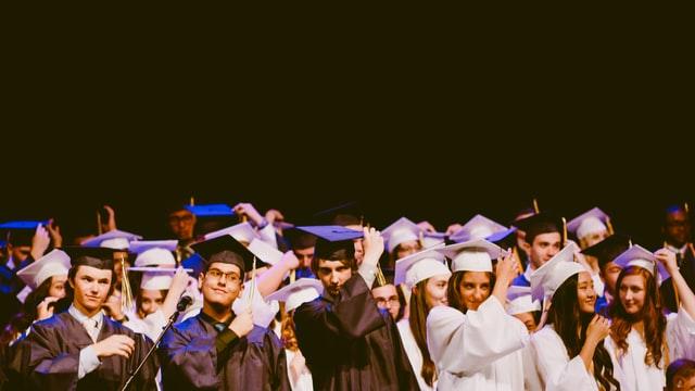 bachelor degree