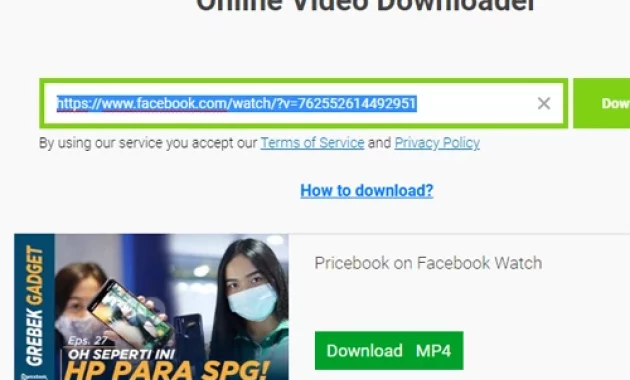 Cara Download Video Facebook