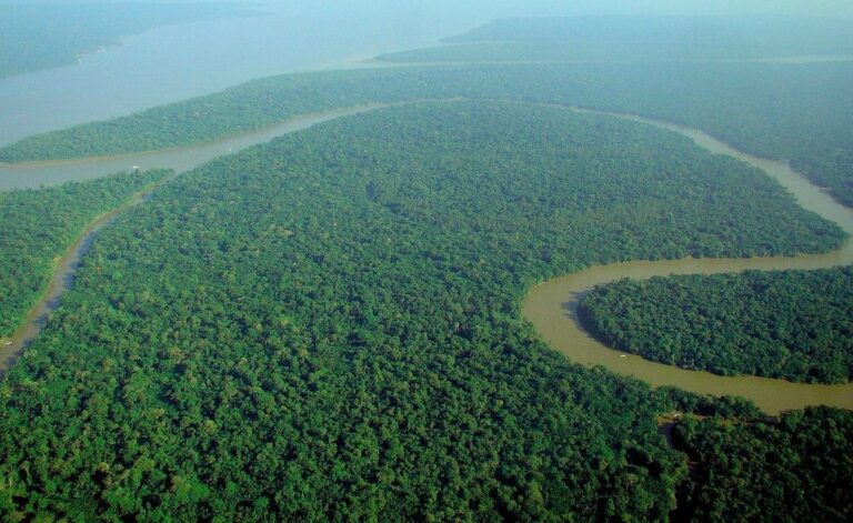sungai amazon terbesar di dunia