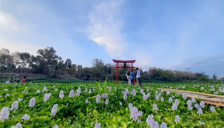 Wisata Jogja ala Jepang