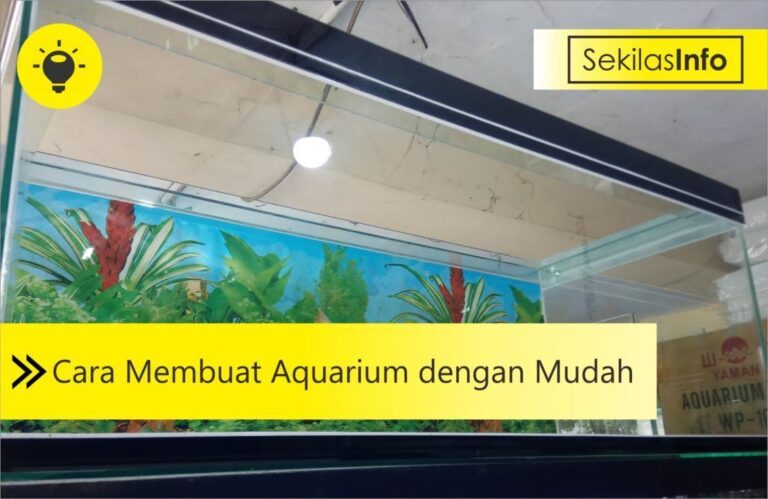 cara membuat aquarium
