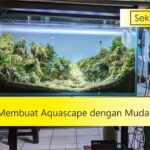 cara membuat aquascape