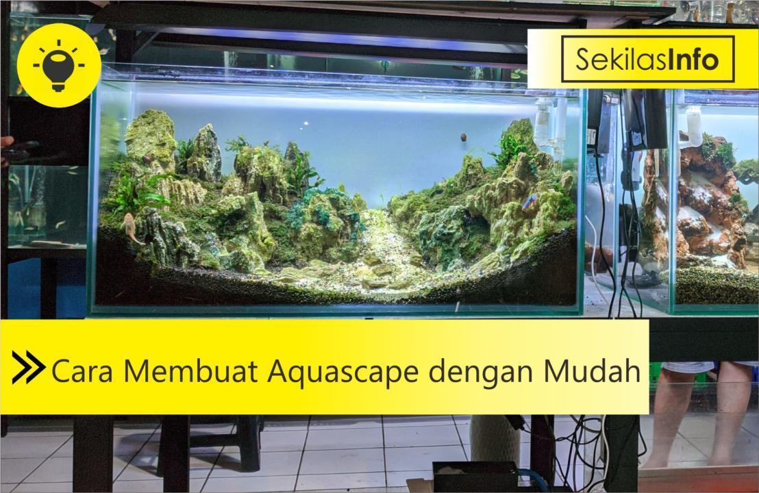 cara membuat aquascape