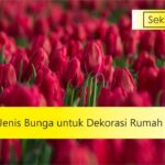 bunga untuk dekorasi rumah