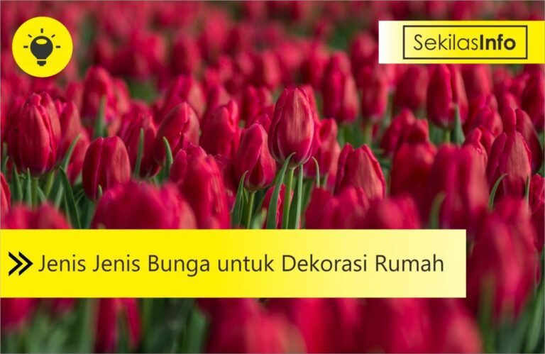 bunga untuk dekorasi rumah
