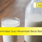 susu penambah berat badan