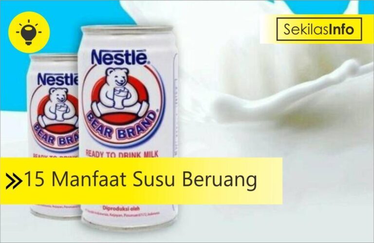 manfaat susu beruang