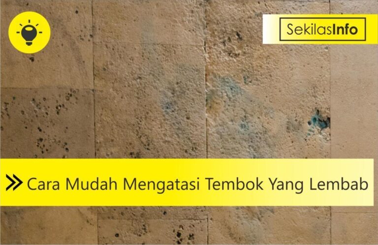 cara mengatasi tembok lembab dan basah