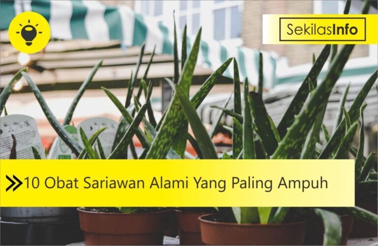 10 obat sariawan alami