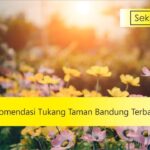 11 rekomendasi tukang taman bandung terbaik