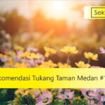 rekomendasi tukang taman medan