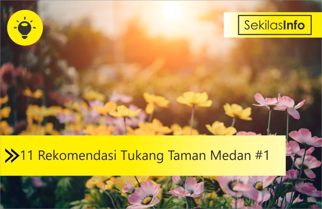 rekomendasi tukang taman medan