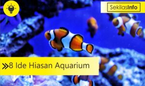 ide hiasan aquarium
