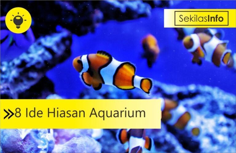 ide hiasan aquarium