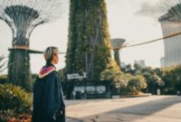 bachelor degree