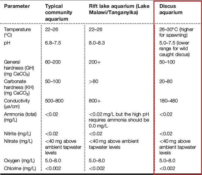 Parameter Air untuk Akuarium ikan Discus