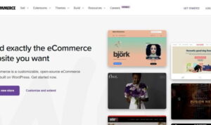 Persyaratan Hosting Minimum untuk WooCommerce yang Lancar