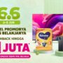 Blibli adakan promo double day 6.6. (Blibli)