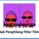 Review Aplikasi apk penghilang efek rotoscope: Fitur, Tips, Cara Penggunaan