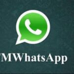 Review Aplikasi fm whatsapp latest version 790 apk: Fitur, Tips,