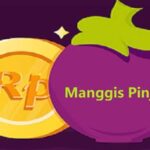 Review Aplikasi manggis pinjam apk: Fitur, Tips, Cara Penggunaan &