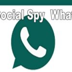 Review Aplikasi social spy whatsapp 2022 apk download: Fitur, Tips,