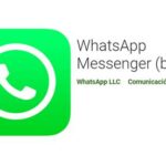 Review Aplikasi whatsapp beta apk: Fitur, Tips, Cara Penggunaan &